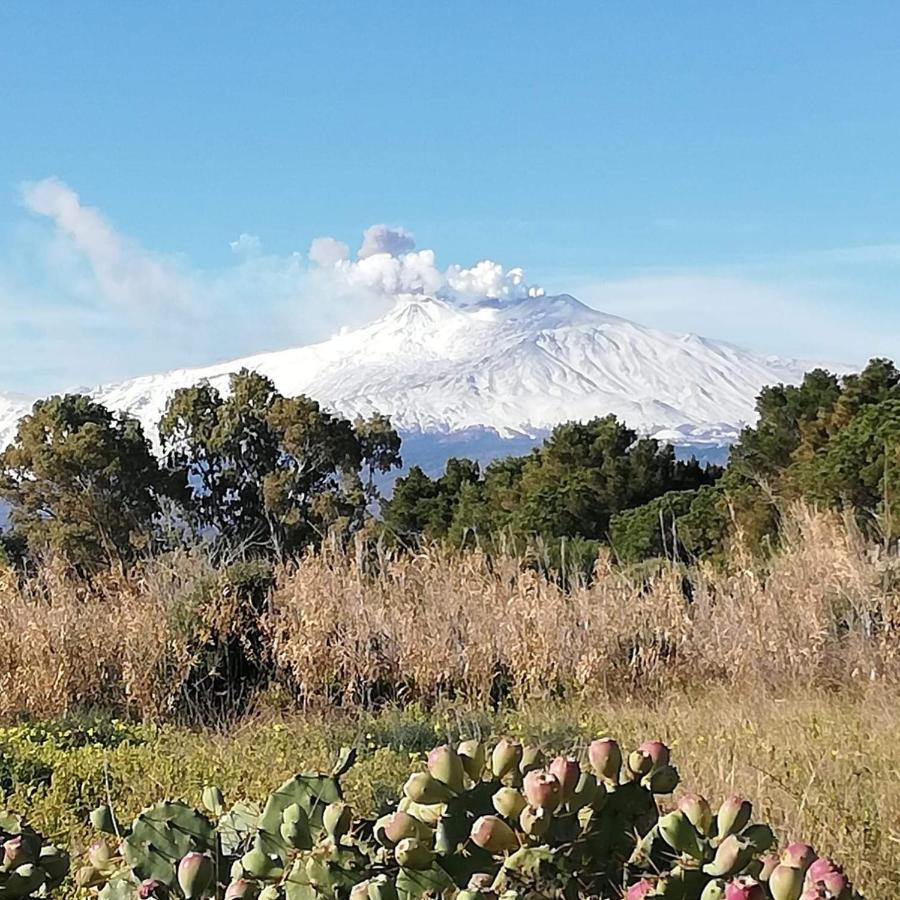 Casa Donna Rosaria Tra Etna E Taormina *
